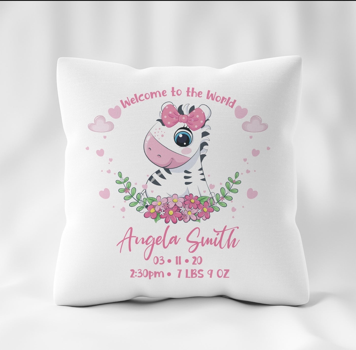 Welcome to the world cushion